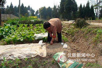 马鞍镇掀起春耕生产热潮