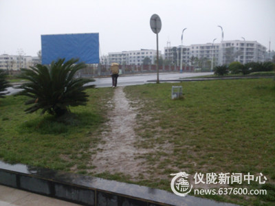 芳草萋萋踏之何忍