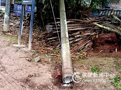 铲车碰断广电杆 百余部电视“罢工”