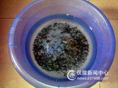 自来水中现绿藻，无人过问