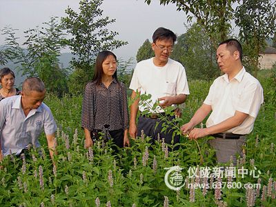 仪陇来仪乡干部挂联产业助农发展