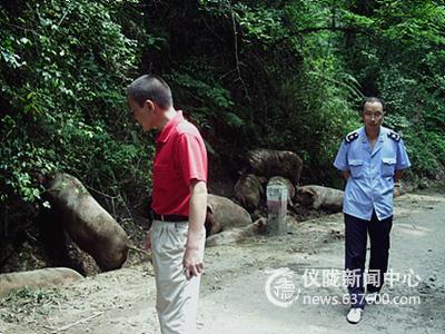 欺行霸市行为 行不通