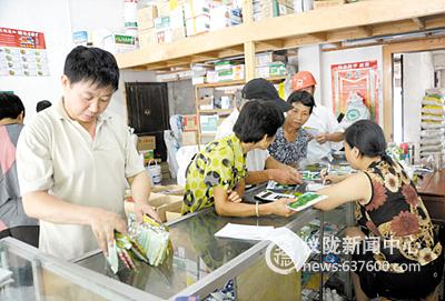 仪陇县抢种蔬菜弥补损失