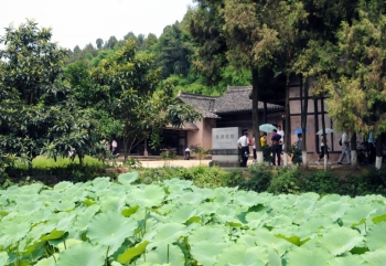 让“朱德故里”成为世人皆知的名片