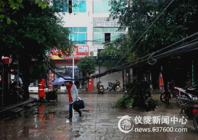 仪陇县一大货车拉扯电缆线 附近树枝尽遭殃