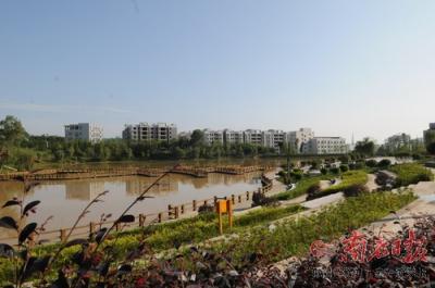 每亩208万元 县城国有土地拍卖价创历史新高