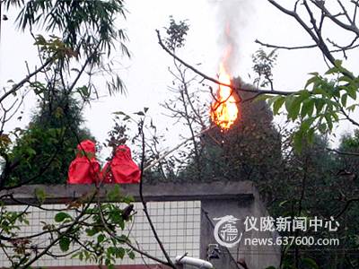 巨型野蜂窝”马蜂狂伤6人两小学生丧命(图)