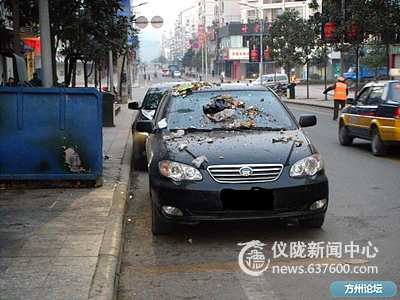 不文明 垃圾无故飞上车头