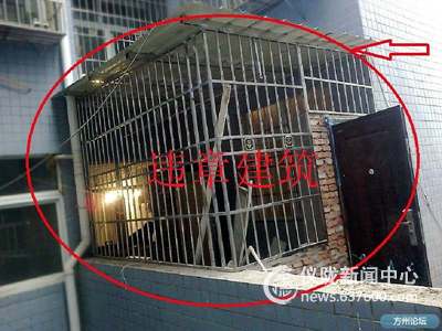 较真网友网上直播举报 直呼效能差