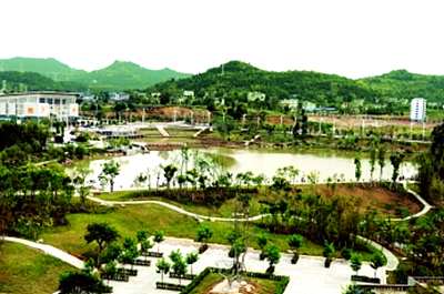 仪陇每亩295万元土地拍卖价创新高