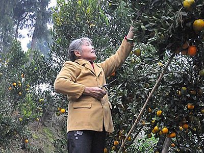 杨桥镇：产业富民 旅游兴镇