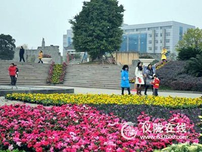 50000盆鲜花1200盏灯笼扮靓仪陇新县城