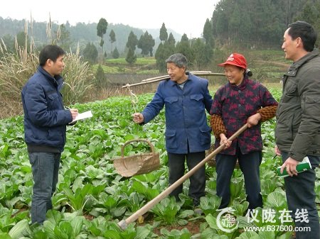 仪陇 大学生村官新春忙调研