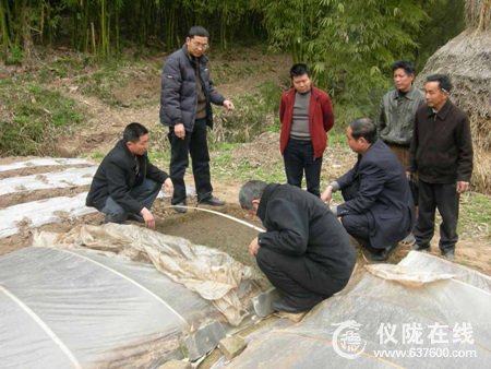 仪陇县党员干部“上山下乡”田间“赶考”忙