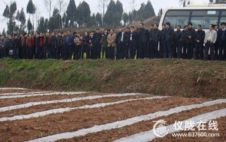 仪陇县狠抓粮油高产创建 现代农业成效显著