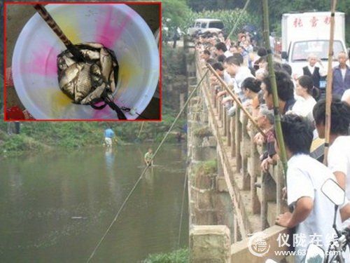 奇观！仪陇县赛金镇大河万条鲫鱼浮出水面透气