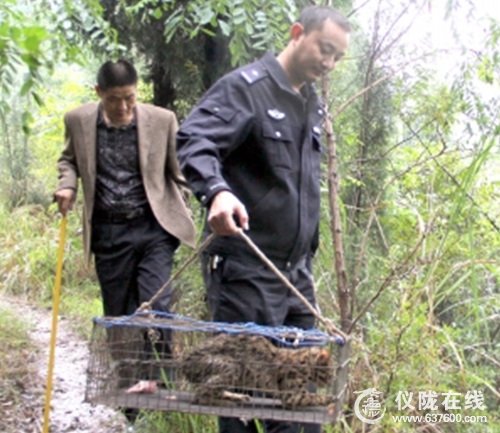 仪陇民警将照料5天的狸猫 送到山林里放生