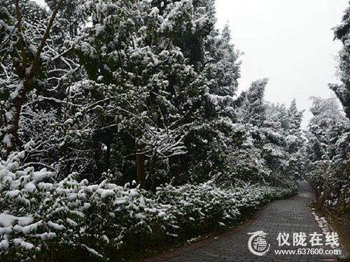 2013年首场降雪 仪陇降雪量达到小雪标准