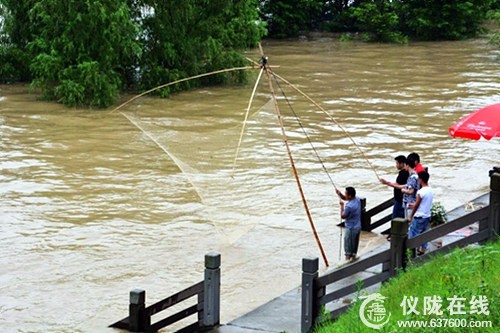 嘉陵江新政段涨水 江边又现搬罾