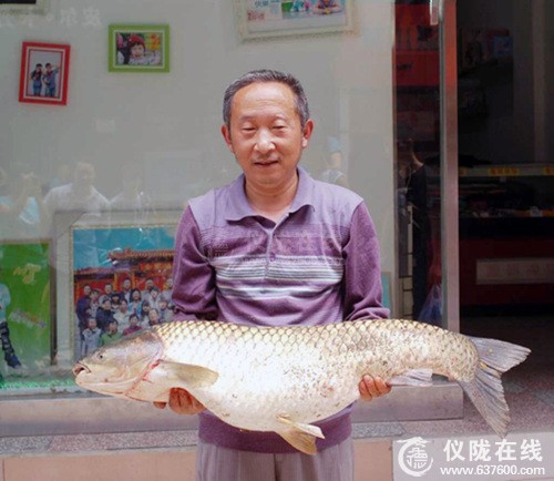 仪陇一男子在付家坝水库钓起26斤大草鱼