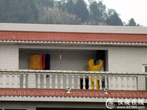 铜鼓乡摘掉马蜂窝 百姓拍手叫好