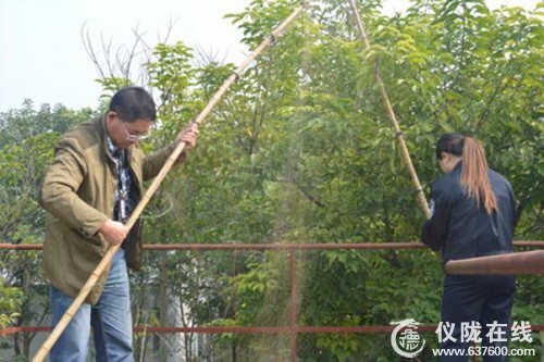 仪陇哈哥企业厂内设粘网捕鸟 9只竹鸡差点成盘中餐