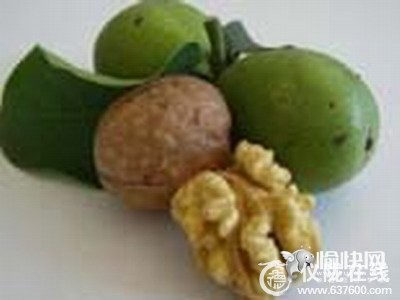 鲜核桃补脑功效比干的核桃更胜一筹