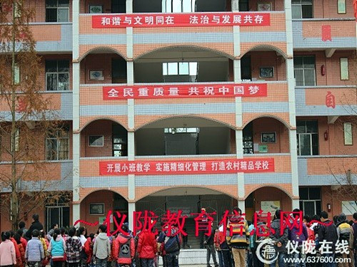 大华小学开展首个“国家宪法日”宣传教育活动