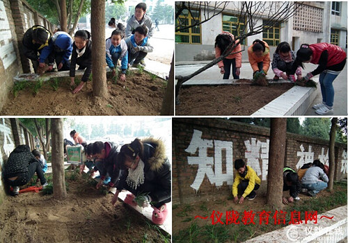 先锋小学：种草养德织锦绣