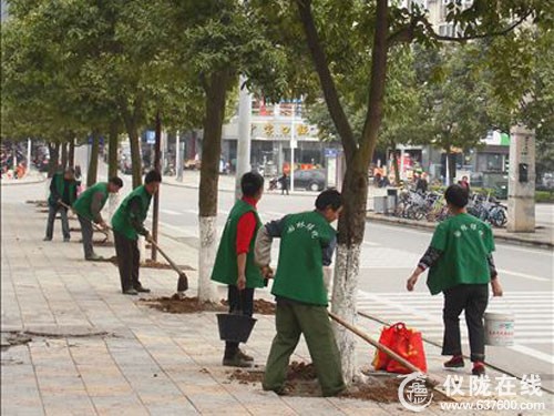 园林工人对城区植物集中施肥
