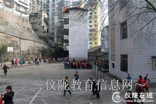 强化安全意识  共建平安校园