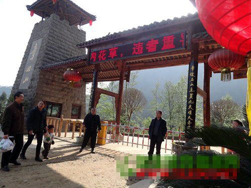 义路小学教职工自发组团春游