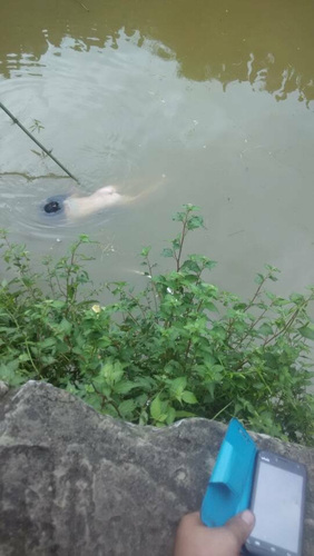 仪陇县石佛乡蓄水池内惊现女尸 警方介入调查