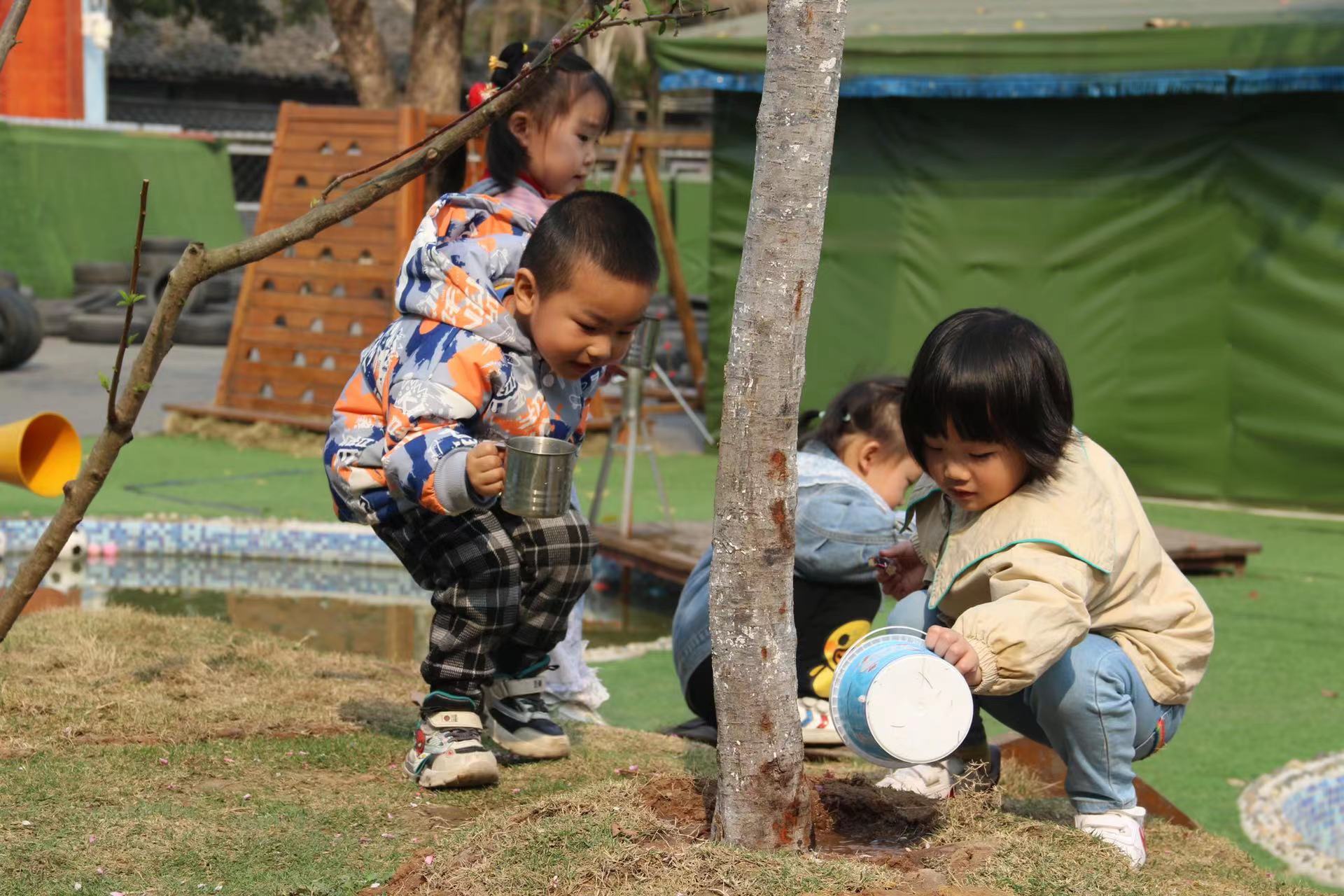 种下希望，浇灌未来——新政幼儿园开展植树护绿活动