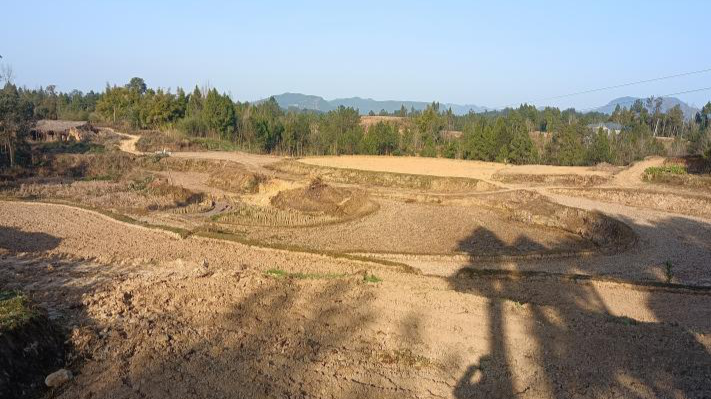 柳垭镇整治撂荒土地抓春耕生产